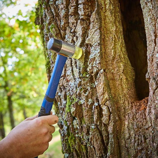 Sachverständigentätigkeit