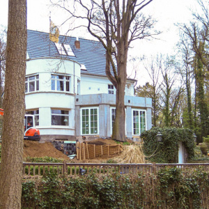 Leider wurde hier zu viel und zu nah an dem Baum abgegraben, und wir wurden zu spät in die Arbeiten involviert.