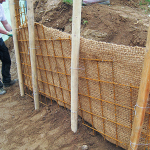 Tatsächlich wurde der Baum von drei Seiten massiv abgegraben.