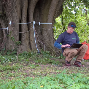 Zum Messen der Rohdichte (Festigkeit) des Holzes wird ein Schalltomograph eingesetzt. Anschließend wird im Zugversuch die Tragfähigkeit des Querschnitts und der Verankerung im Boden gemessen.