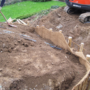 Vermutlich wird der Baum mittelfristig absterben.