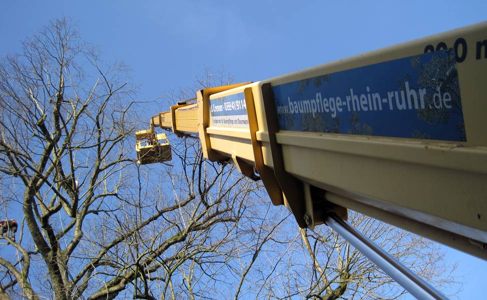 Baumpflege: Baumpflege Rhein-Ruhr GmbH & Co. KG