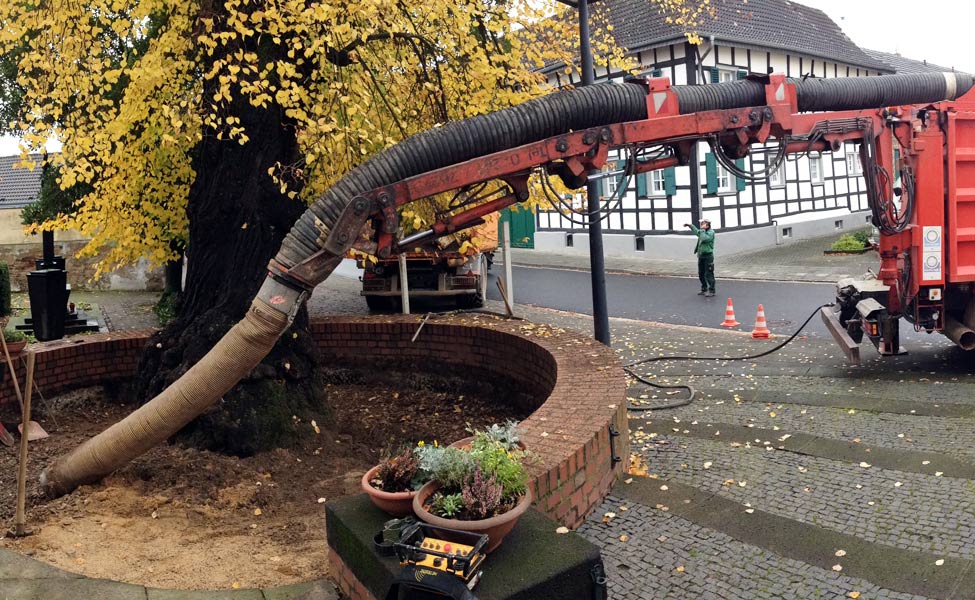 Baumfällung: Baumpflege Rhein-Ruhr GmbH & Co. KG